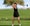 Firsthand fitter golf shaft fitting