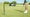 Golfer putting