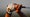 golf grip