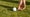 Hand marking ball with quarter