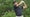 Jordan Spieth hits a tee shot during the second round of the Valero Texas Open.
