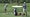 justin thomas titleist tsr2 driver