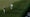 Rory McIlroy walks on the 15th hole at Augusta National during the 2025 Masters.
