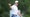 Rory McIlroy acknowledges the crowd during the 2025 Masters.