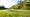 A view of a tee box on a non-descript golf course