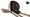 New golf clubs on white isolated background